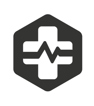 State of Health Icon
