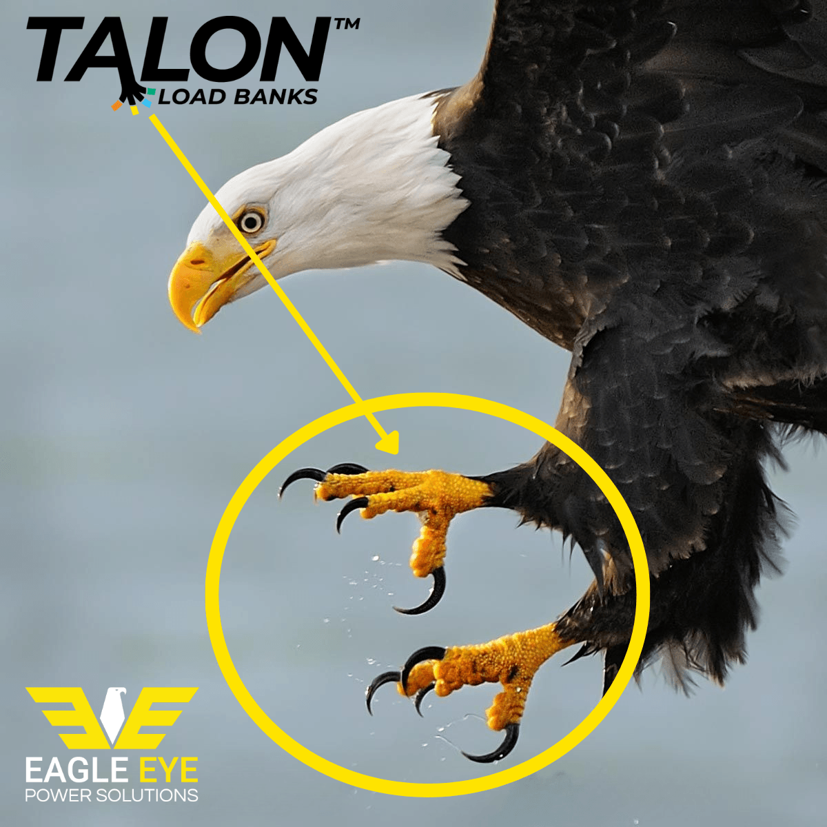 Bald eagle flying with its talons highlighted, featuring Talon AC Load Banks and Eagle Eye Power Solutions branding.